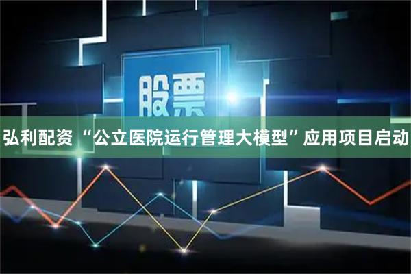 弘利配资 “公立医院运行管理大模型”应用项目启动