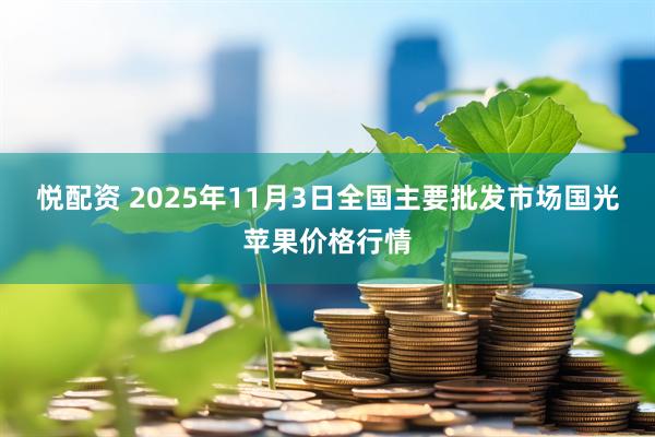 悦配资 2025年11月3日全国主要批发市场国光苹果价格行情